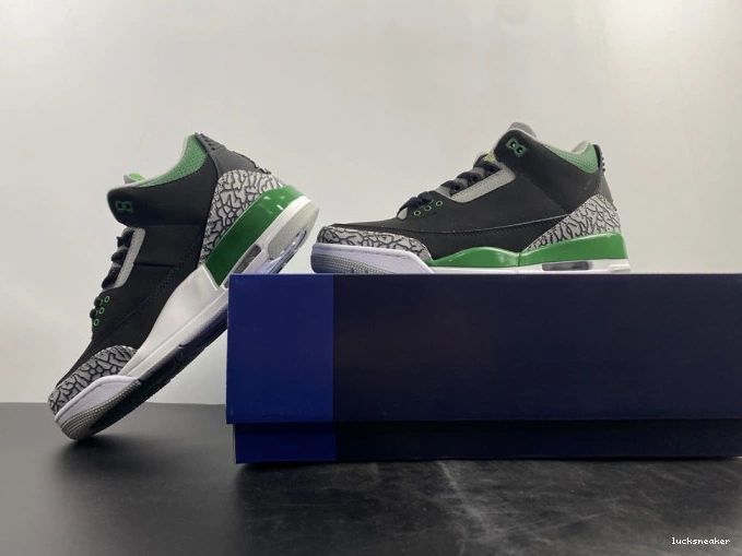 Reps LUCY Pine CT8532-030 Green Jordan 3 Air 0819